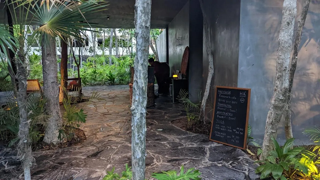 Appartement Exclusive Penthouse By Famous Interior Designer By Yeah à Tulum