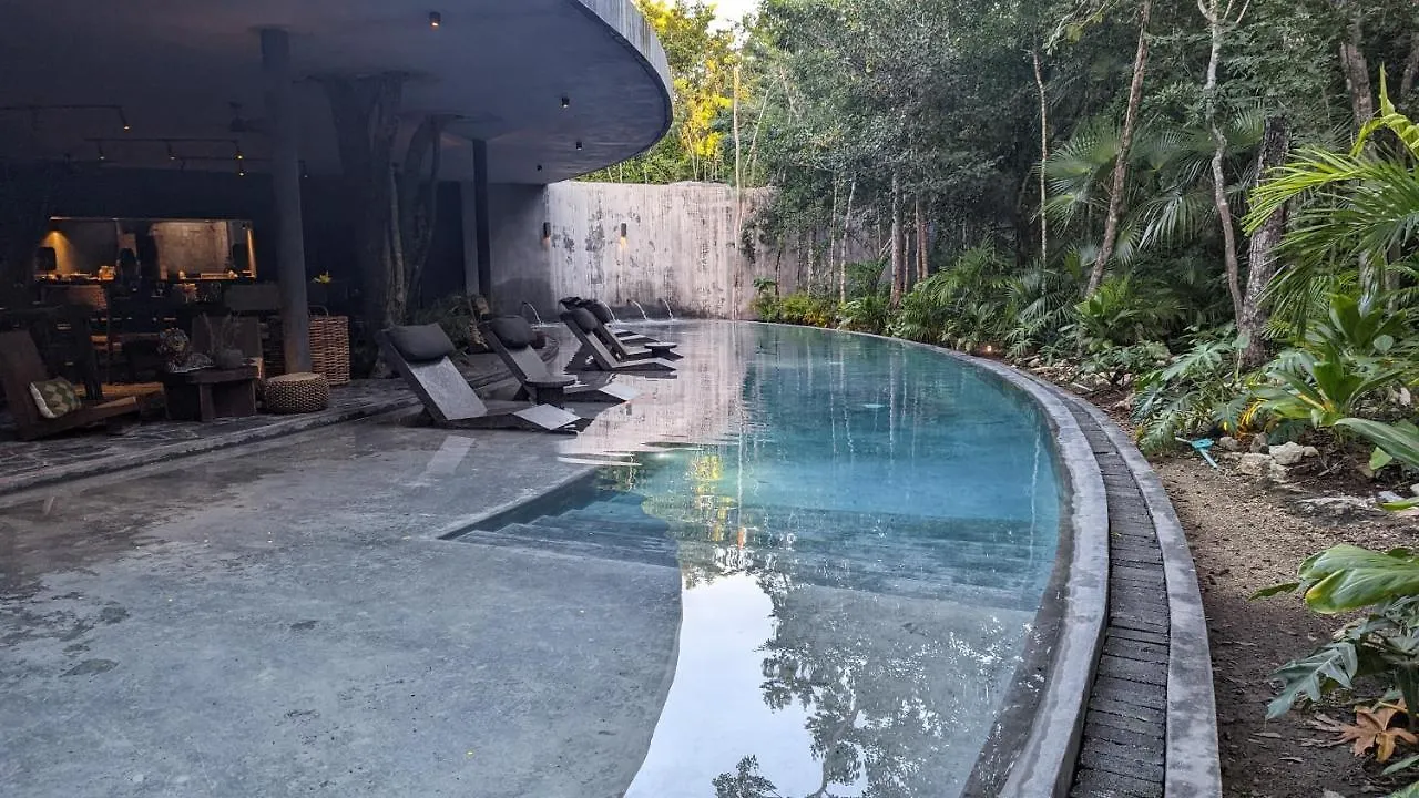Appartement Exclusive Penthouse By Famous Interior Designer By Yeah à Tulum 0*,