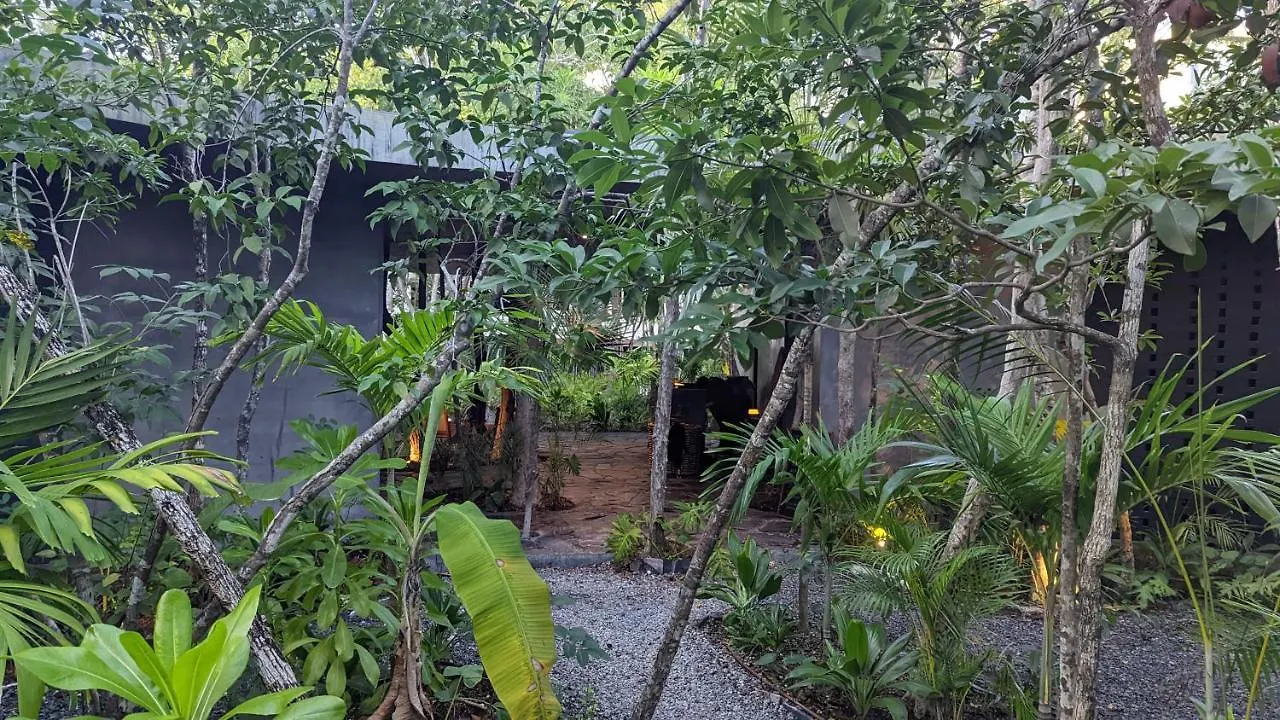 Appartement Exclusive Penthouse By Famous Interior Designer By Yeah à Tulum
