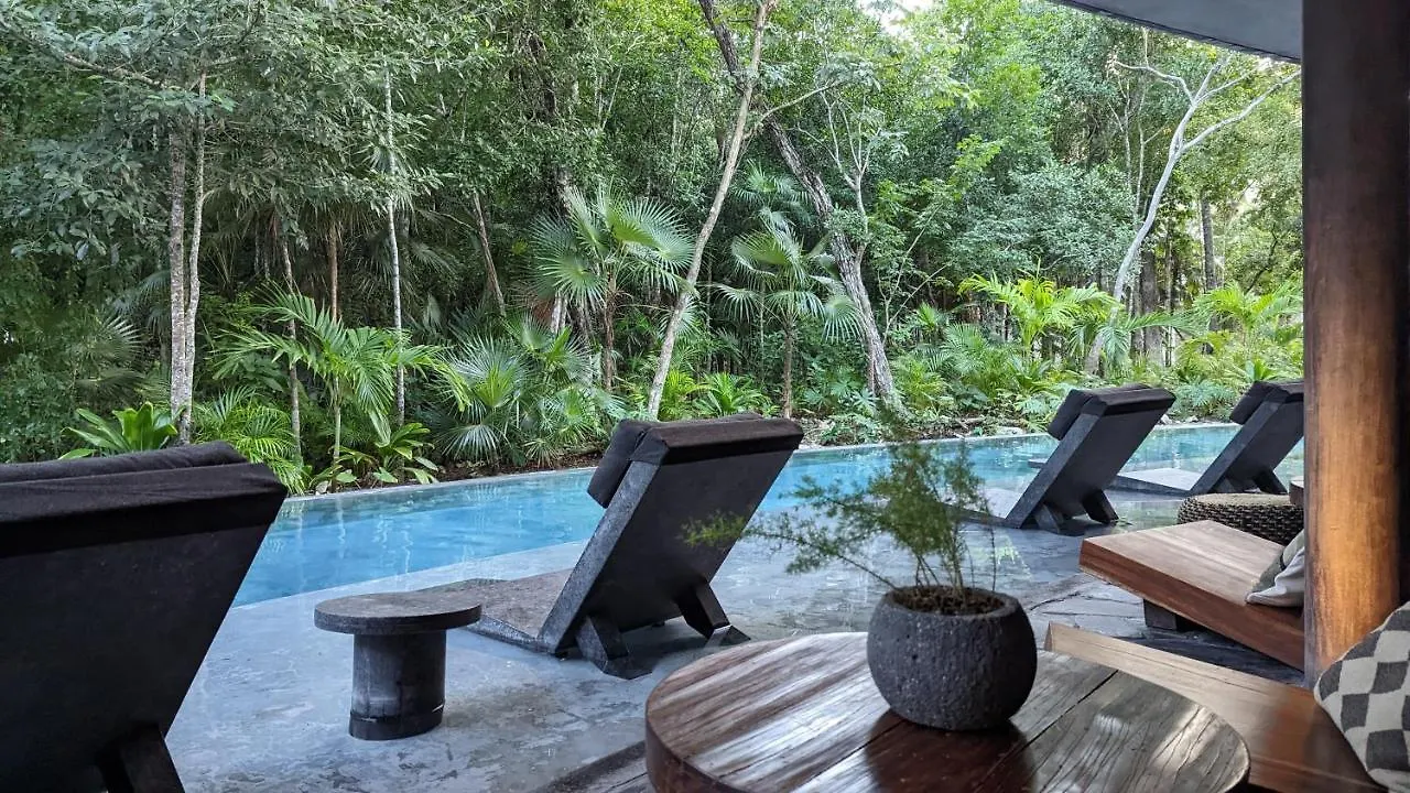 Appartement Exclusive Penthouse By Famous Interior Designer By Yeah à Tulum