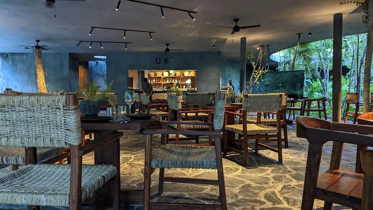 Appartement Exclusive Penthouse By Famous Interior Designer By Yeah à Tulum Mexique