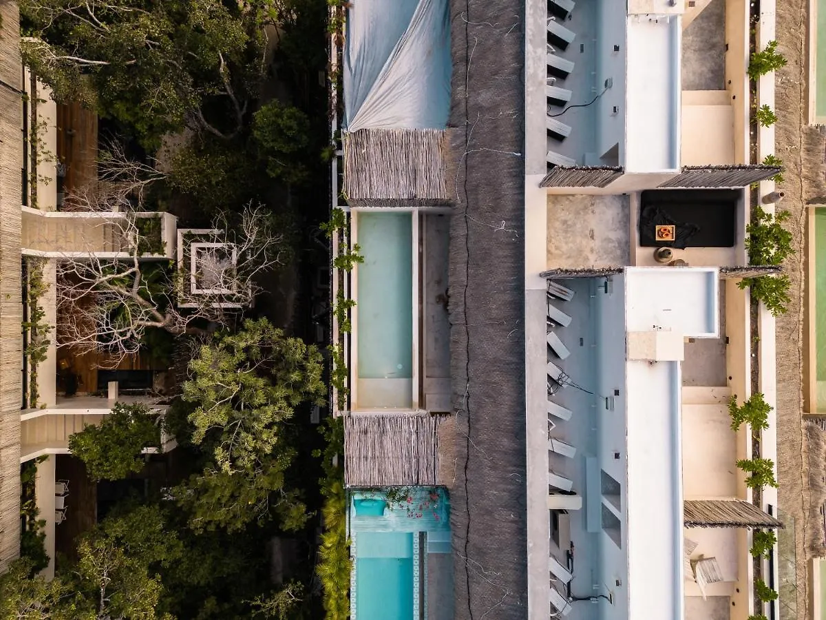 Appartement Exclusive Penthouse By Famous Interior Designer By Yeah à Tulum