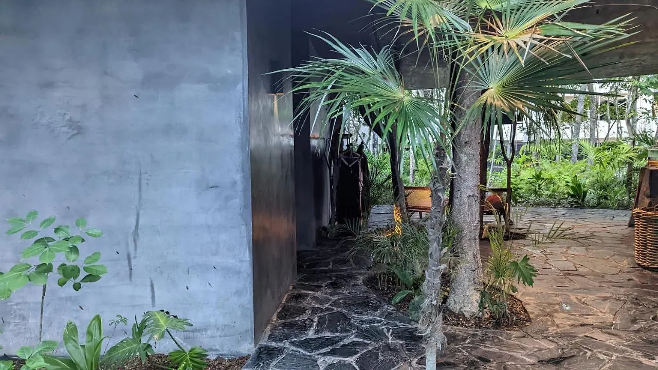 Appartamento Exclusive Penthouse By Famous Interior Designer By Yeah Tulum